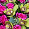 Pink Roses with Green Orchids