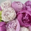 The Spring Equinox was first marked thousands of years ago when the
