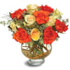 The harvest moon is round and orange-gold, and this rounded display of