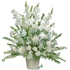 A beautiful display of all white flowers &ndash; including such bright blossoms