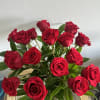 red roses