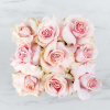 Some people dream of achieving fame and fortune in their lifetimes. Some