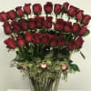 36 Ecuadorian Red Roses + Cymbidium Orchid
AS SIMILAR AS POSSIBLE
Substitution based on