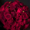 Ignite your passion for fresh aromatic florals  with this arrangement of