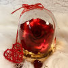 Preserved and illuminated garden rose in glass dome and wooden base.