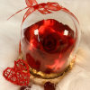 Preserved and illuminated garden rose in glass dome and wooden base.