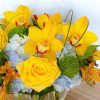 Flowers to cheer and inspire! What better way to give a gift