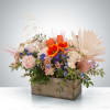 The perfect gift for your free-spirited, boho, kind hearted family or friend