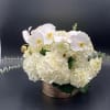 White hydrangea with orchid in a beautiful vase

