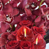 Allow these array of exotic blooms to transport you to the tropical