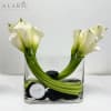 Calla lilies add a classy touch to any arrangement! The distinctive flowers
