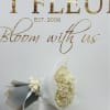 An elegant all white bouquet. 