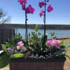 Two beautifully bloomed orchids are the focal point in this custom design