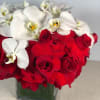 An ultra chic and modern but romantic arrangement with deep red roses