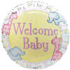 Celebrate the Arrival of a Precious Baby with Our 17&quot; WELCOME BABY
