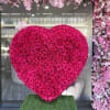 Standard 1,5 feet 125 roses  fresh roses
Deluxe 2 feet 300 roses