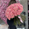  Standard 200 Pink Fresh Roses      