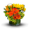 Vibrant oranges and zesty yellows come together to create a tantalizing atmosphere