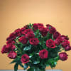 ROSES
AS SIMILAR AS POSSIBLE
Substitution based on season, flowers availability or any unforeseen