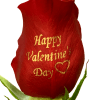 Celebrate your love and heartfelt emotion with a display of the most