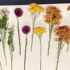 Immerse yourself in opulence with our lavish bouquet of resplendent flowers, a
