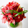 6&quot; x 6&quot; cylinder vase filled with vibrant anthuriums, orchids, and alstroemerias.