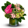 Bold pinks and zesty greens unite in this eye-catching arrangement, capturing the