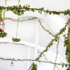 Arrangements for weddings, arches, centerpieces, bride&#039;s bouquet, salon&#039;s decor (price may change