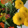 Flowers of yellow,  pink, orange and blue. Full of color and