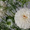 This ethereal arrangement is a calming, peaceful gesture that shows them you