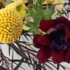 Heat things up with happy, sping pink roses and yellow ranunculus, blue