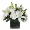 In a 4&quot; glass cube lined with ti leaf with white lilies
