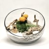 Beautifully designed terrarium with succulents, Geodes, driftwood piece white rocks and sand.