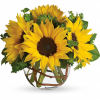 Brighten up a table, send get well wishes, or simply sprinkle sunshine