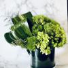 Introducing &quot;Style in Green&quot; - Enhance Your Space with Lush Greenery and