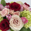 Amor is timeless gathering of romantic shaded blooms such as Roses, Tulips