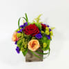 Wooden box with premium orange roses, red roses, dianthus, purple statice, floral