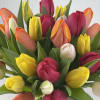 Spring is known as &ldquo;Primavera&rdquo; in many parts of the world, and