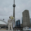 Por supuesto, aqu&iacute; tienes la traducci&oacute;n al ingl&eacute;s canadiense:

Experience the winter elegance