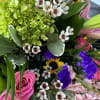 Overwhelming and hugh arrangement in a beautiful black box - simply elegant