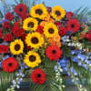 HAS SUNFLOWERS, SEAWALTZ DELPHINIUM AND ROSES DESIGNED TO CAPTURE THE BEAUTY OF