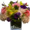 This bright and colorful arrangement is perfect for any occasion. Beautiful fresh