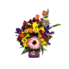 Tulips and a Gerbera Daisy are the center of this colorful bouquet