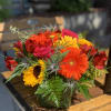 We arrange all the freshest and brightest blooms available in a vase.