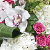 This BEAUTIFUL arrangement is design with seasonal protea, roses, hydrangeas, Bells of