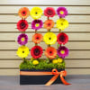 a trellis made with river cane with a colorful mix of Gerbera