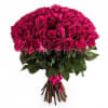 Beautiful hot pink roses. 