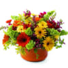 This arrangement brings a whole lot of character to fall. 10 Gerbera
