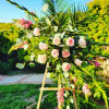 This pink and white crescent Funeral Spray is a elegant and artful