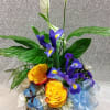 This beautiful basket arrangement contains peace lily, roses, iris, and poms, and